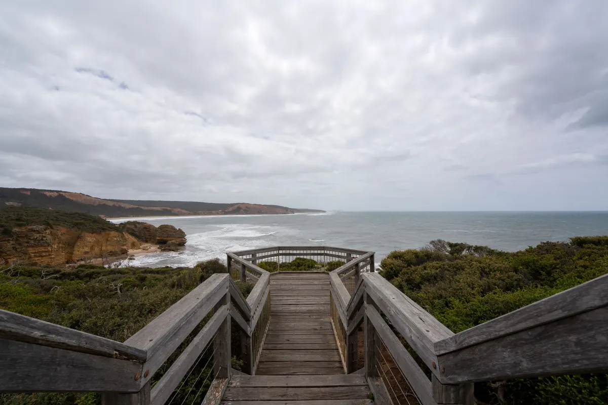 Spotting Wildlife on Coastal Walks: A Seasonal Month-by-Month Guide